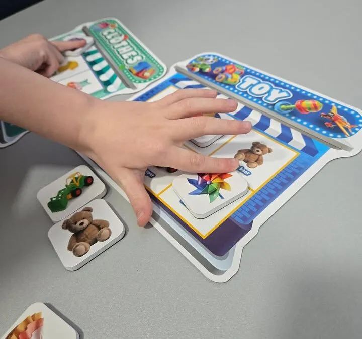 Having fun sorting categories!